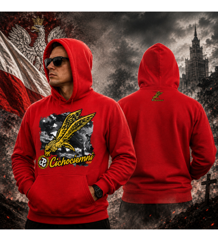 BLUZA Z KAPTUREM CICHOCIEMNI